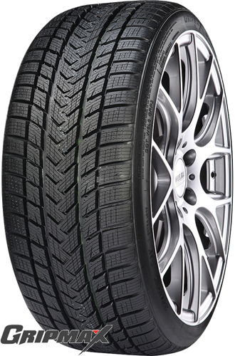 GRIPMAX-Pro-Winter-DOT2622-315-35R22-111V-(p)